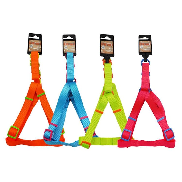 Dog Harnesses - Neon Medium 2