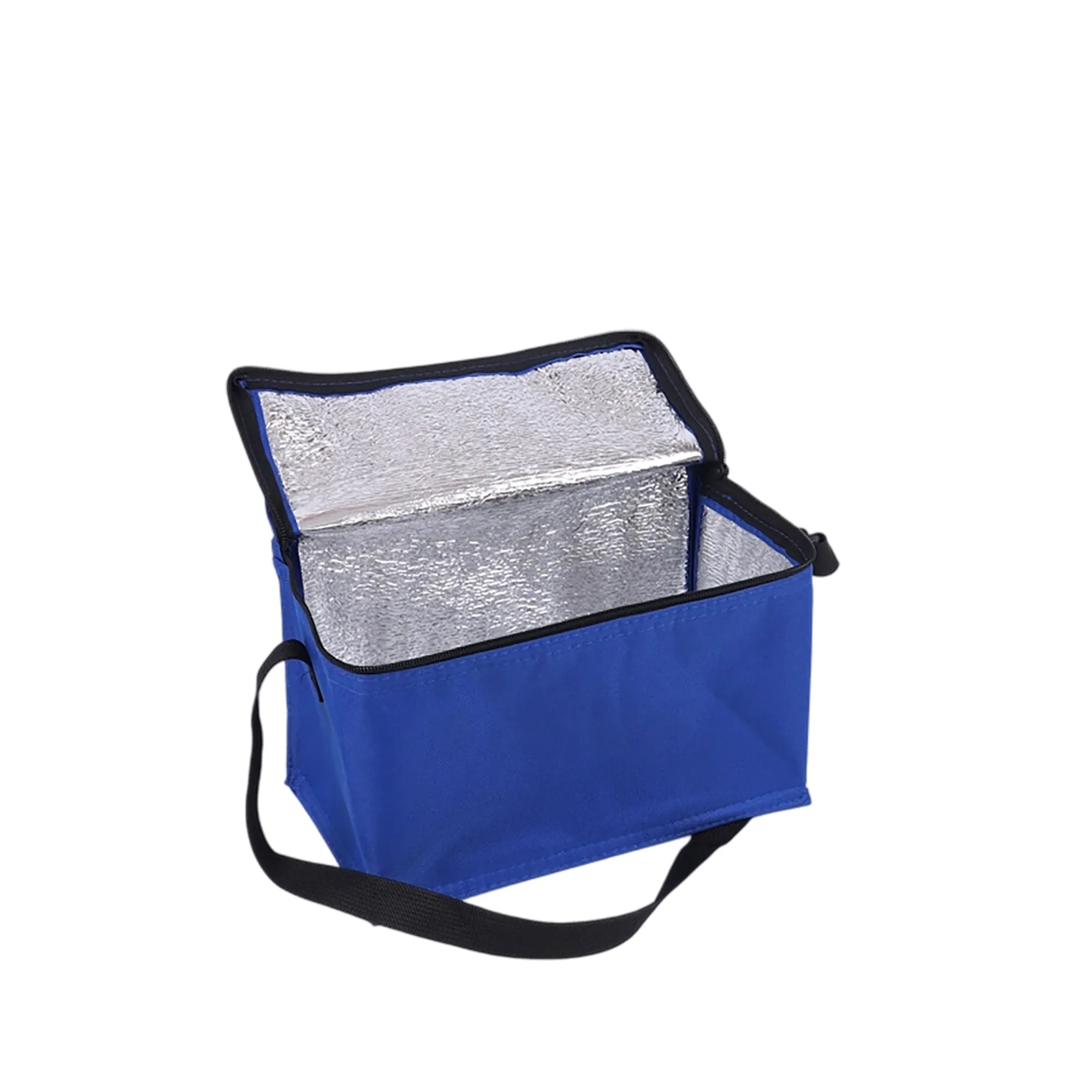 Oxford Insulated Tote 2