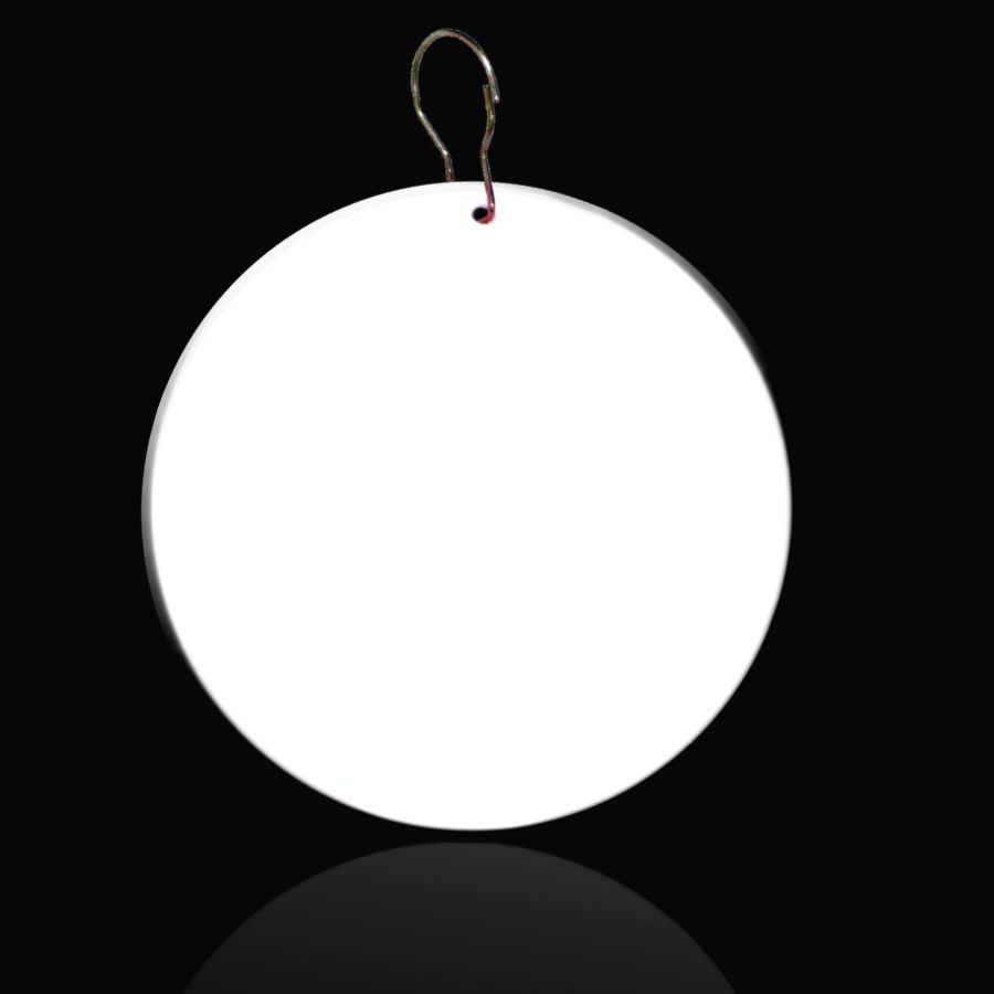 2 1/2" Medallion Badge 2