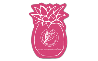 Pineapple Vinyl Jar Opener 76