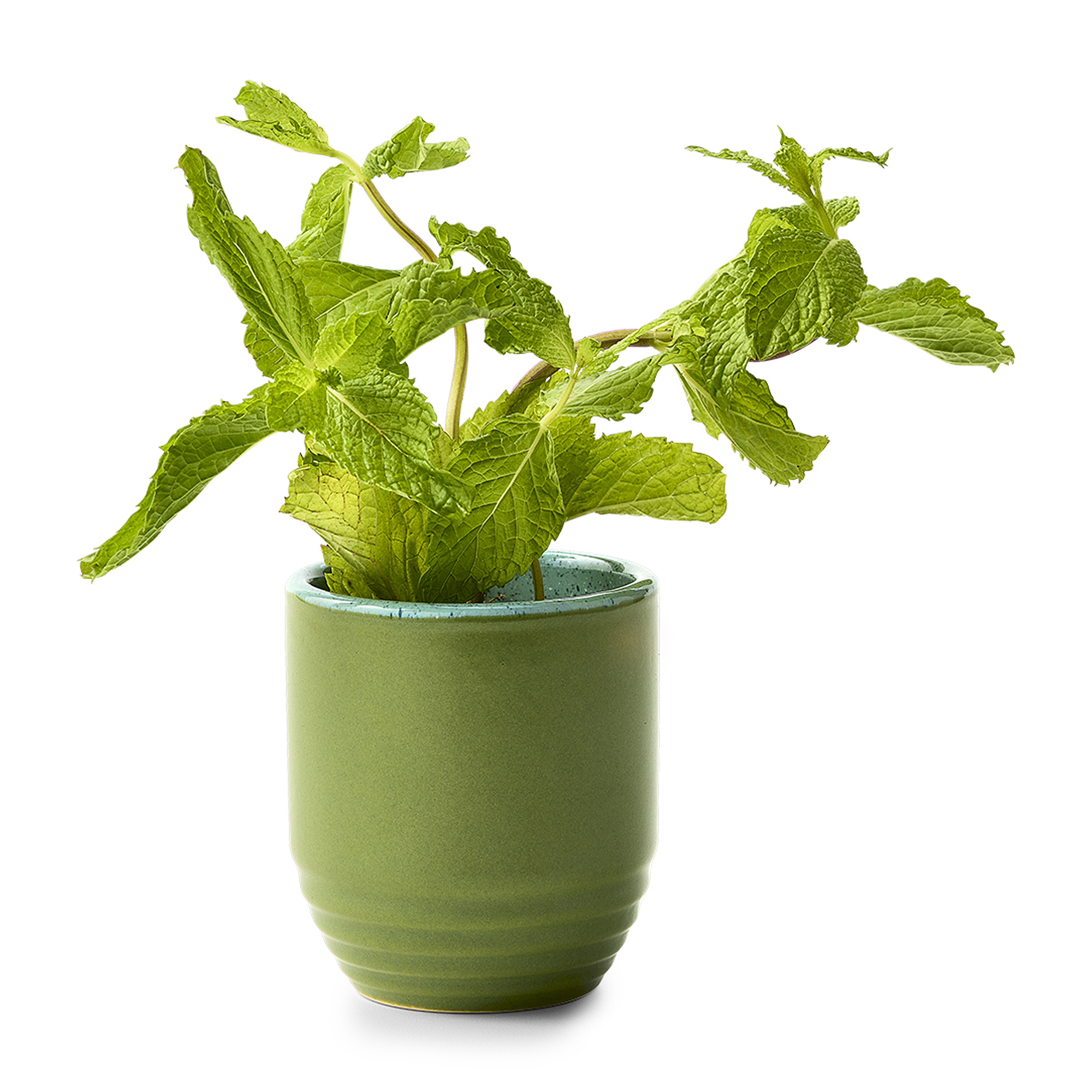 Modern Sprout® Garden Vibes Candle/Planter 18