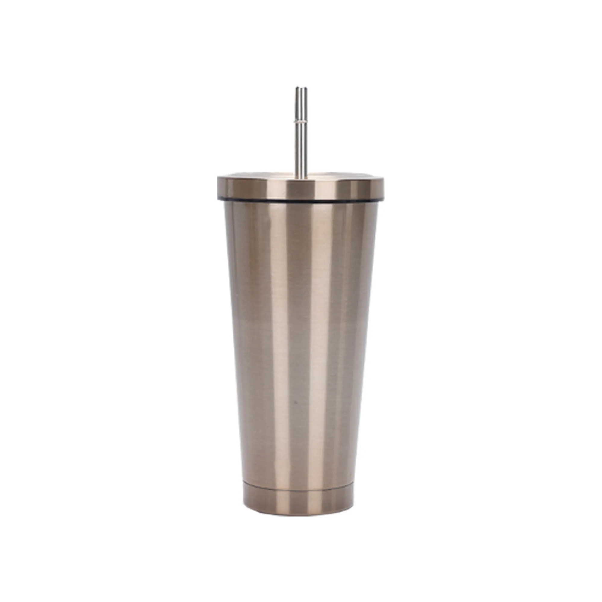 Sippy Cup 17 oz Stainless Steel Double Wall Vacuum Insulated 10
