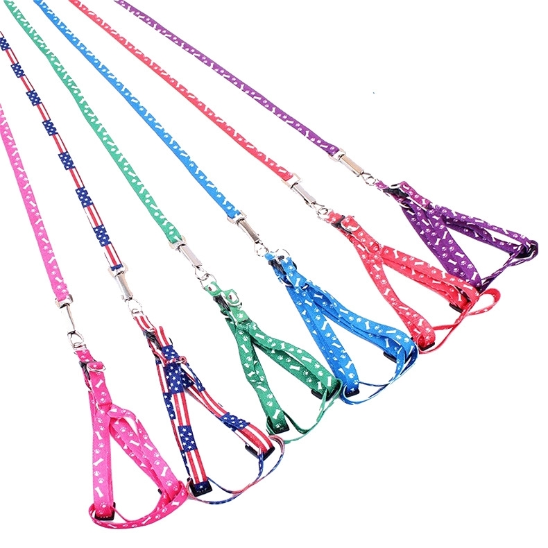 Small dog's leash 2