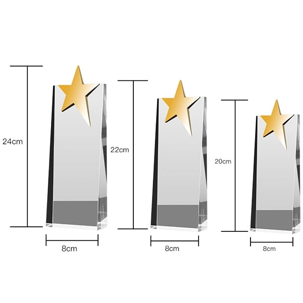 Crystal Plaque Trophy With Metal Star 6