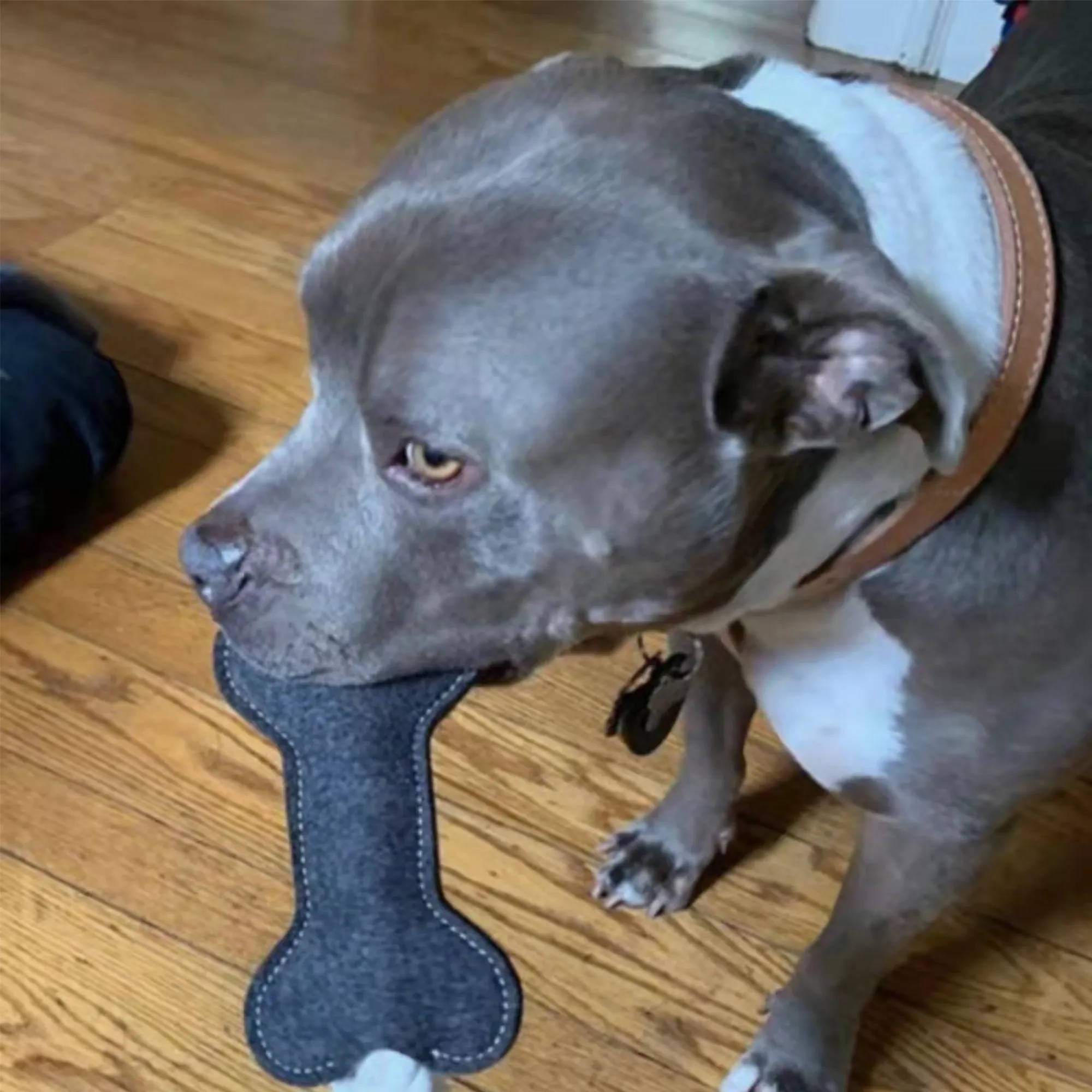 Felt Dog Chew Treat Pet Training Toy 2