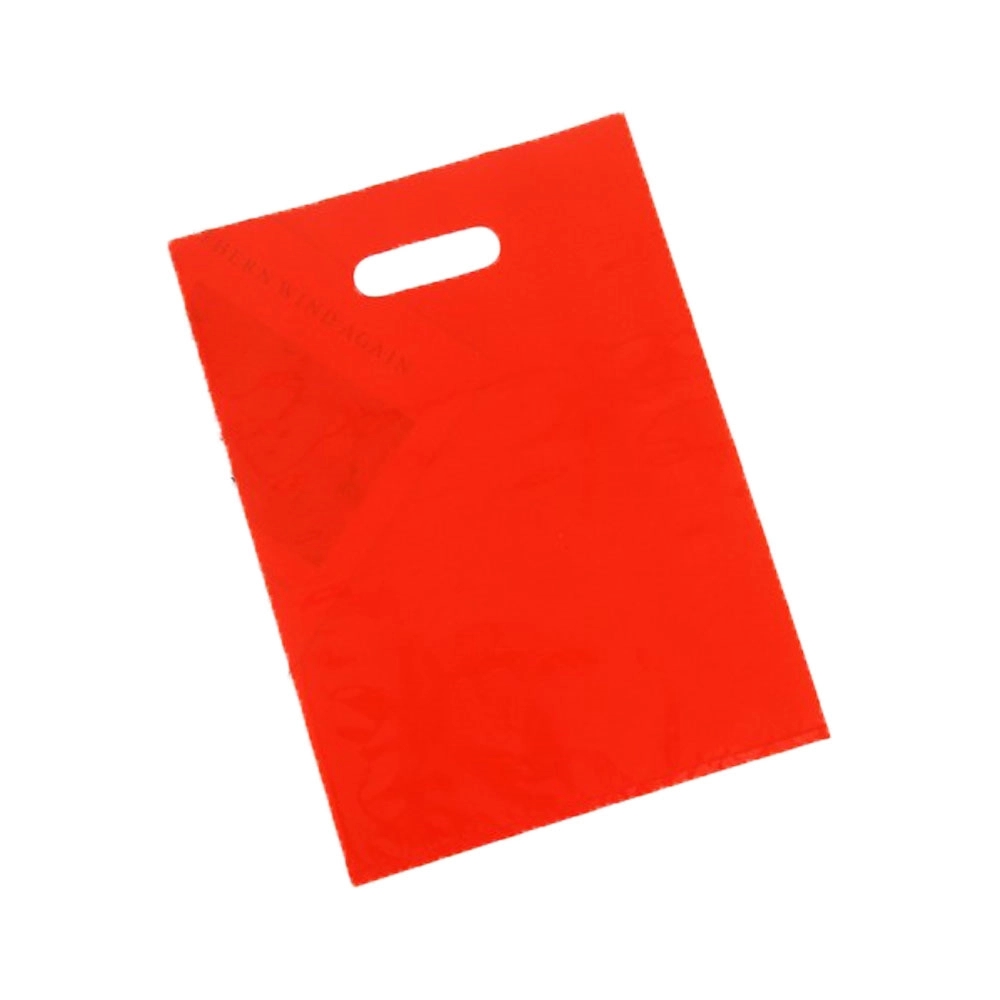 Plastic boutique Bags 1