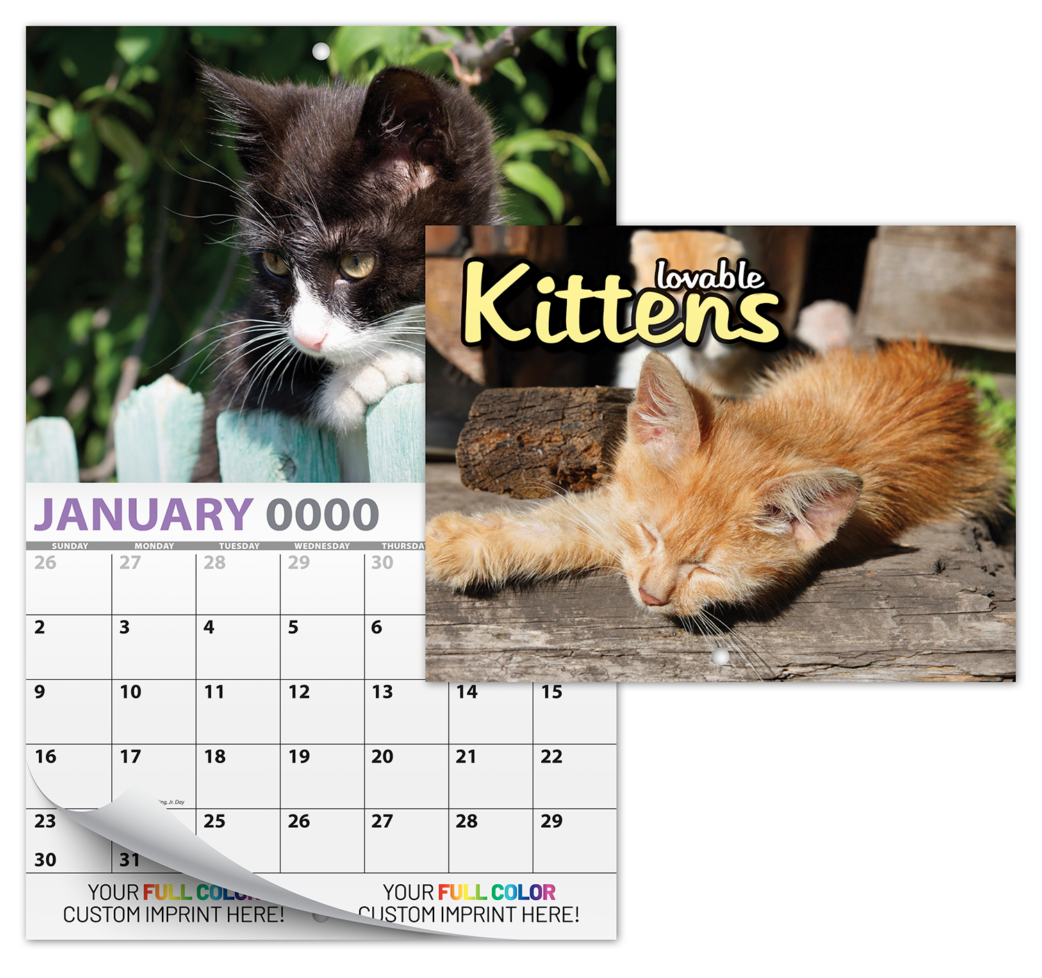 13 Month Custom Appointment Wall Calendar (High Gloss UV-Coated Cover)- KITTENS 2