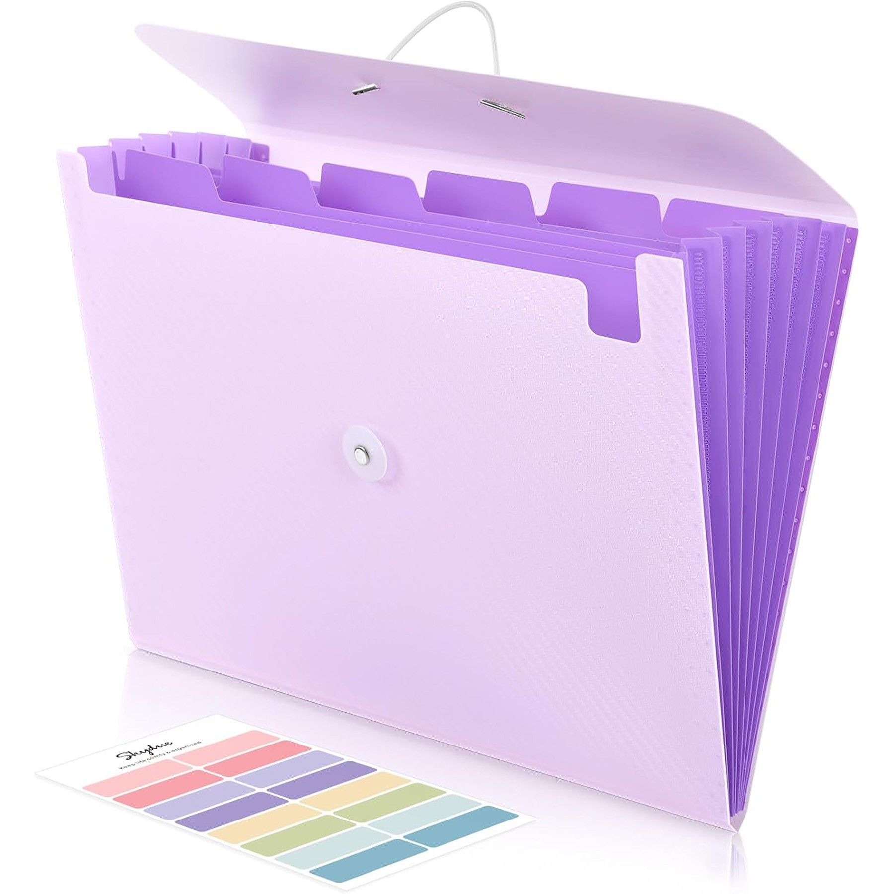 Accordion File Organizer 2