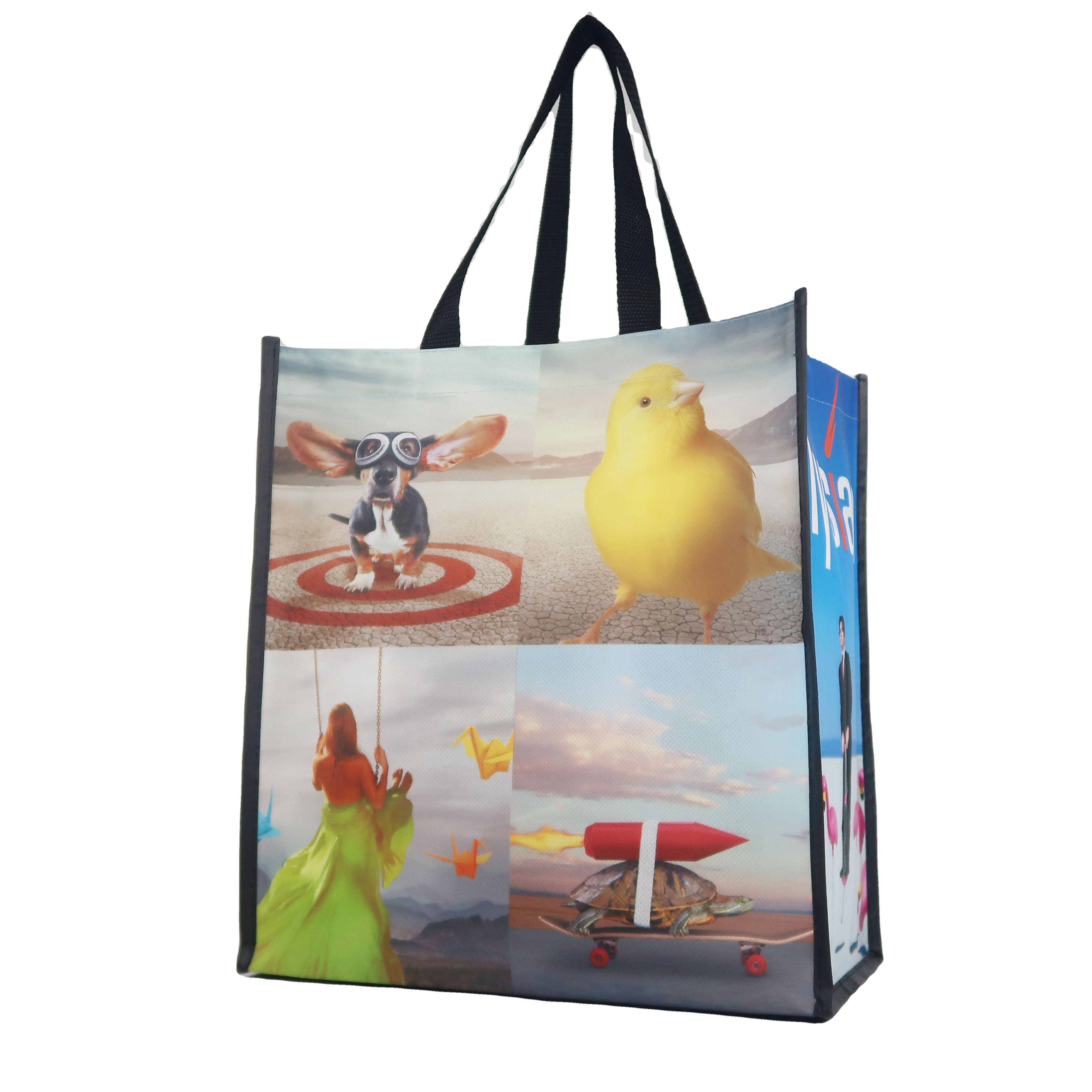 Non Woven Laminated Bags 2