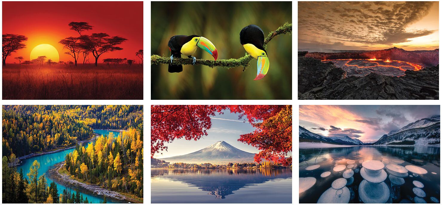 AMAZING NATURE SPIRAL WALL CALENDAR 6