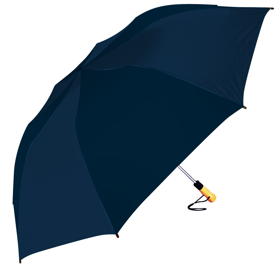 The Big Storm (TM) Umbrella 17