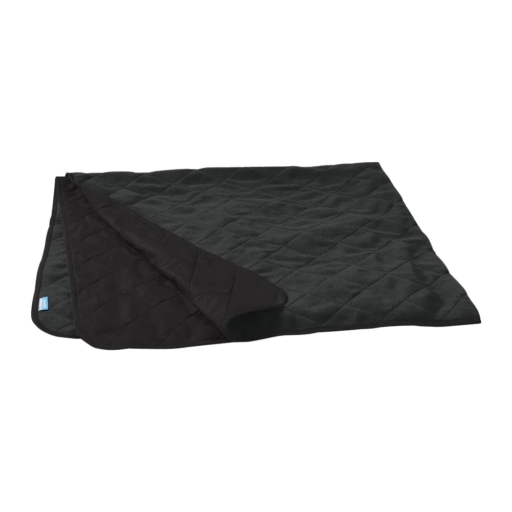 Port Authority Picnic Blanket 5