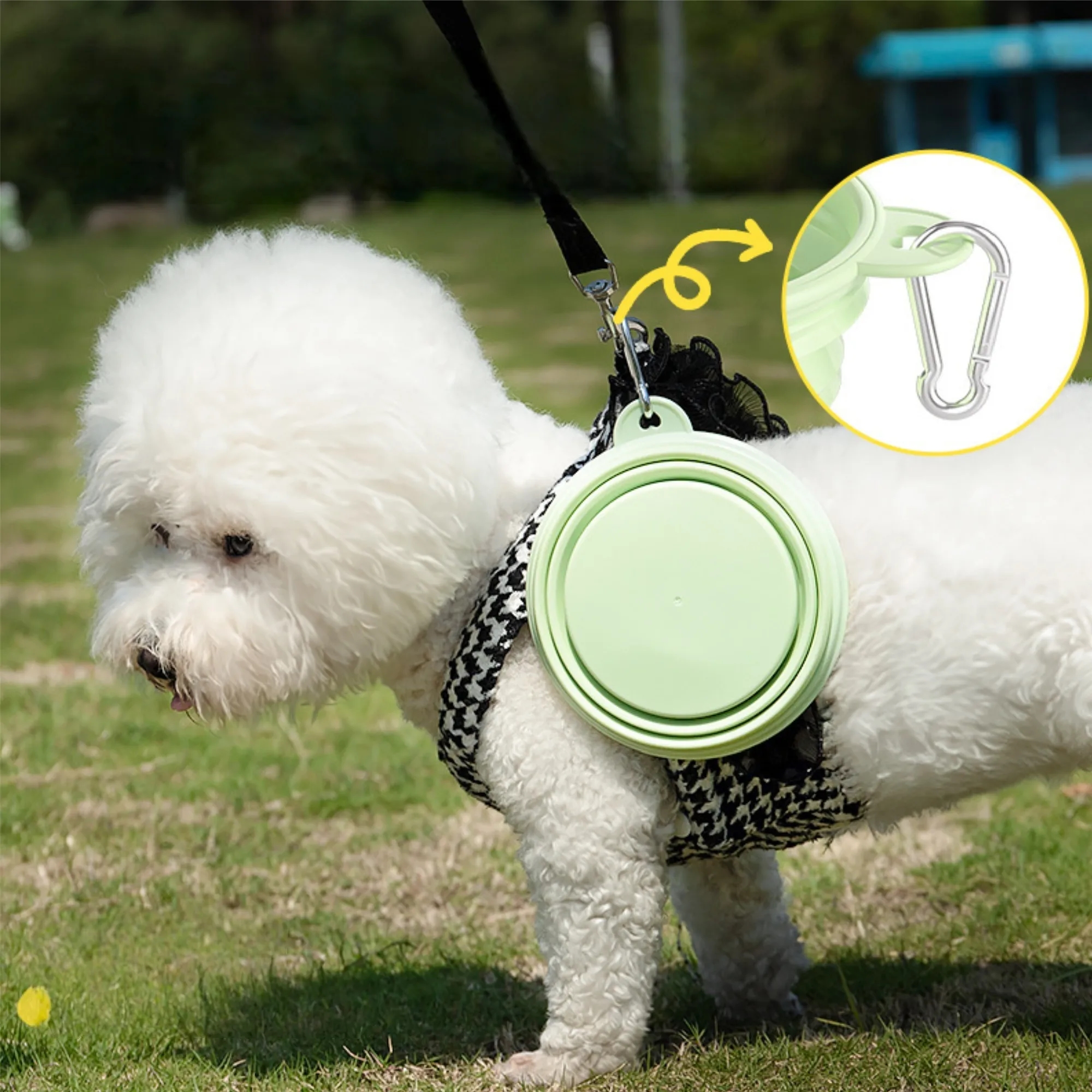 21oz Outdoor Collapsible Pet Bowl With Carabiner 5