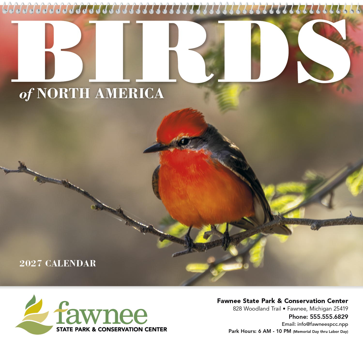Good Value™ Birds of North America - Spiral Calendar 20