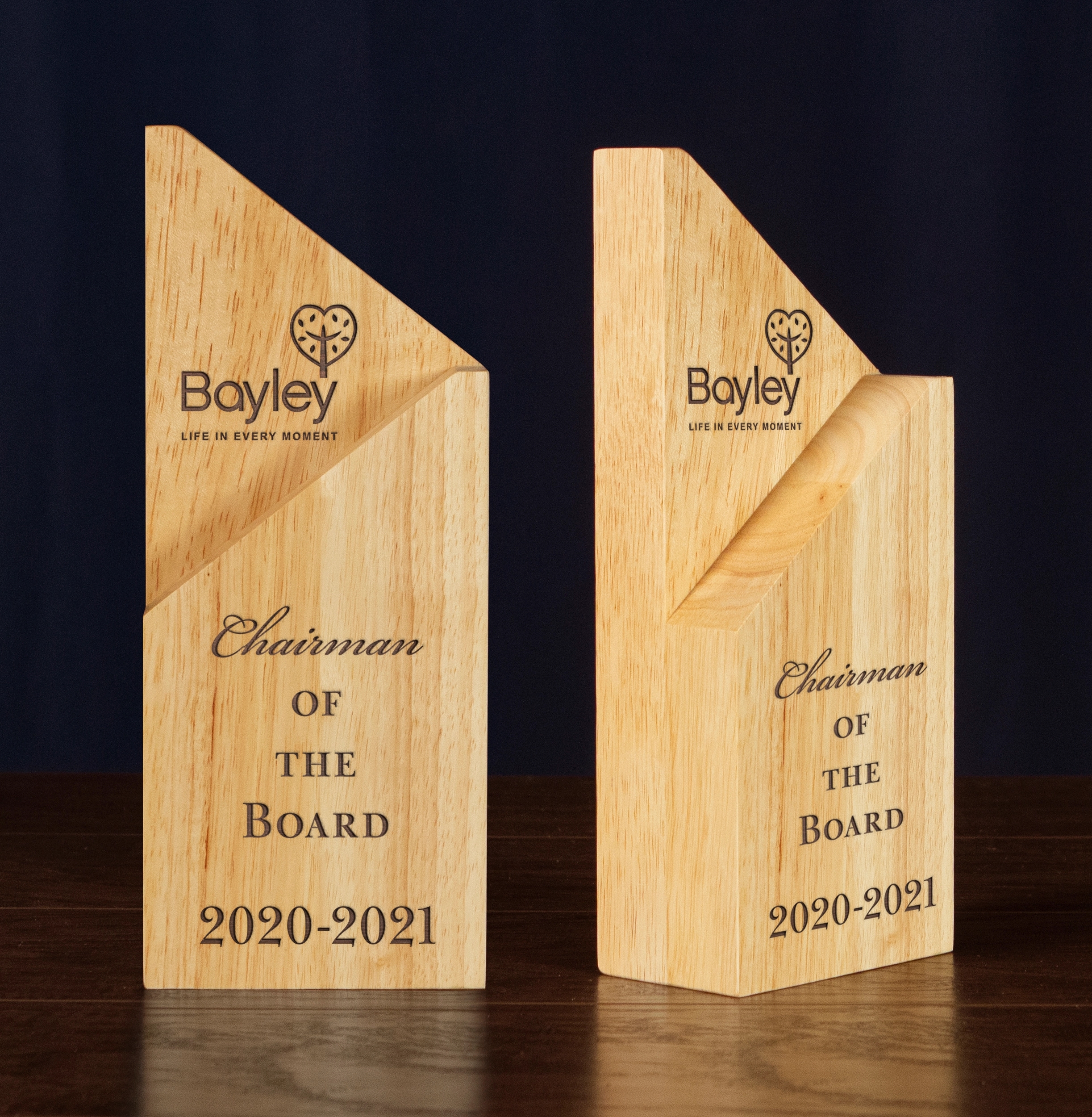 Summit Award 1