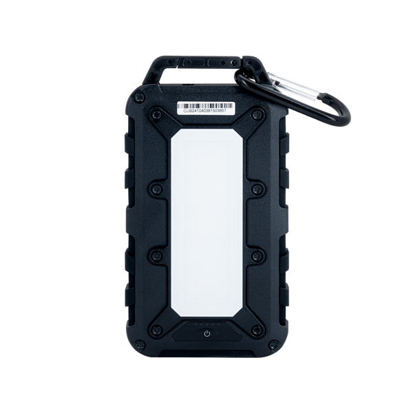 Lion Energy Cub 10000 mAh Powerbank 18