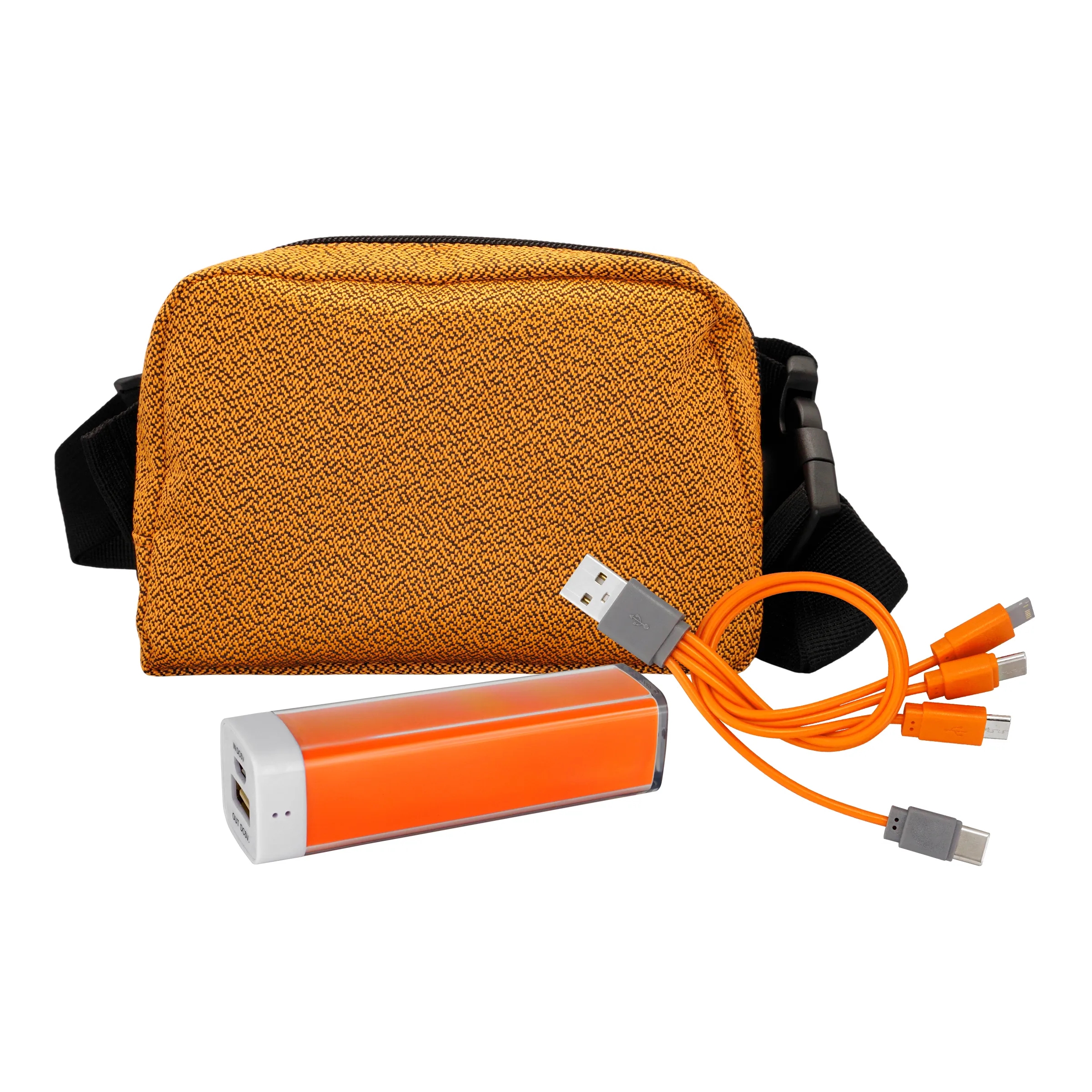 Speck Providence Fanny Pack Set 17