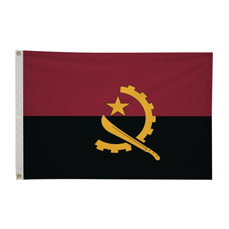 2' x 3'International Flag 303