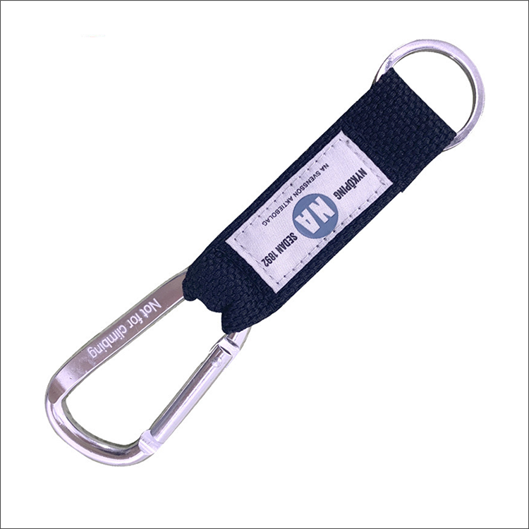 Lanyard Clip / Carabiner Keychain 1