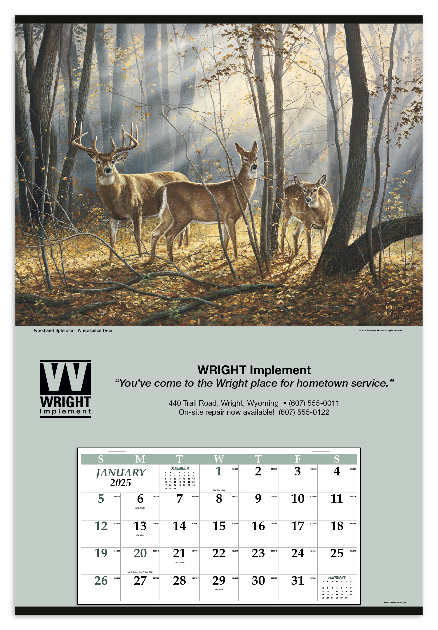 Triumph® Calendars Jumbo Hanger (12-Month) Calendar 37