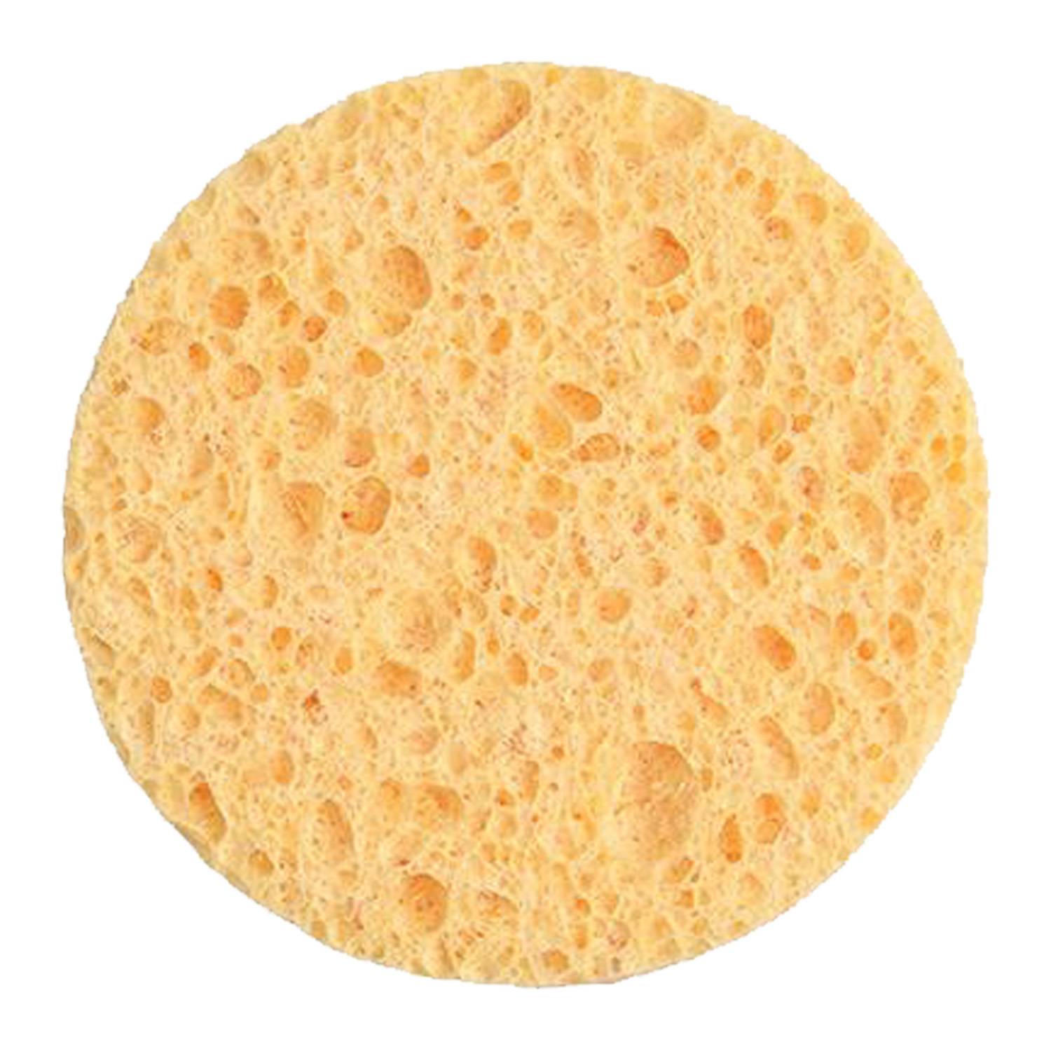 Soft Compressed Facial Sponges 5