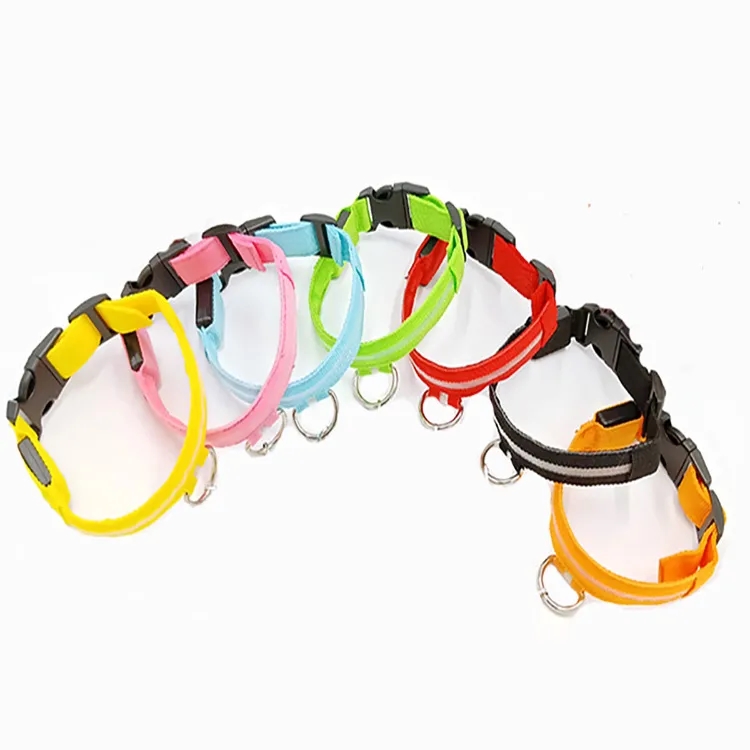 LED Dog Collar 2