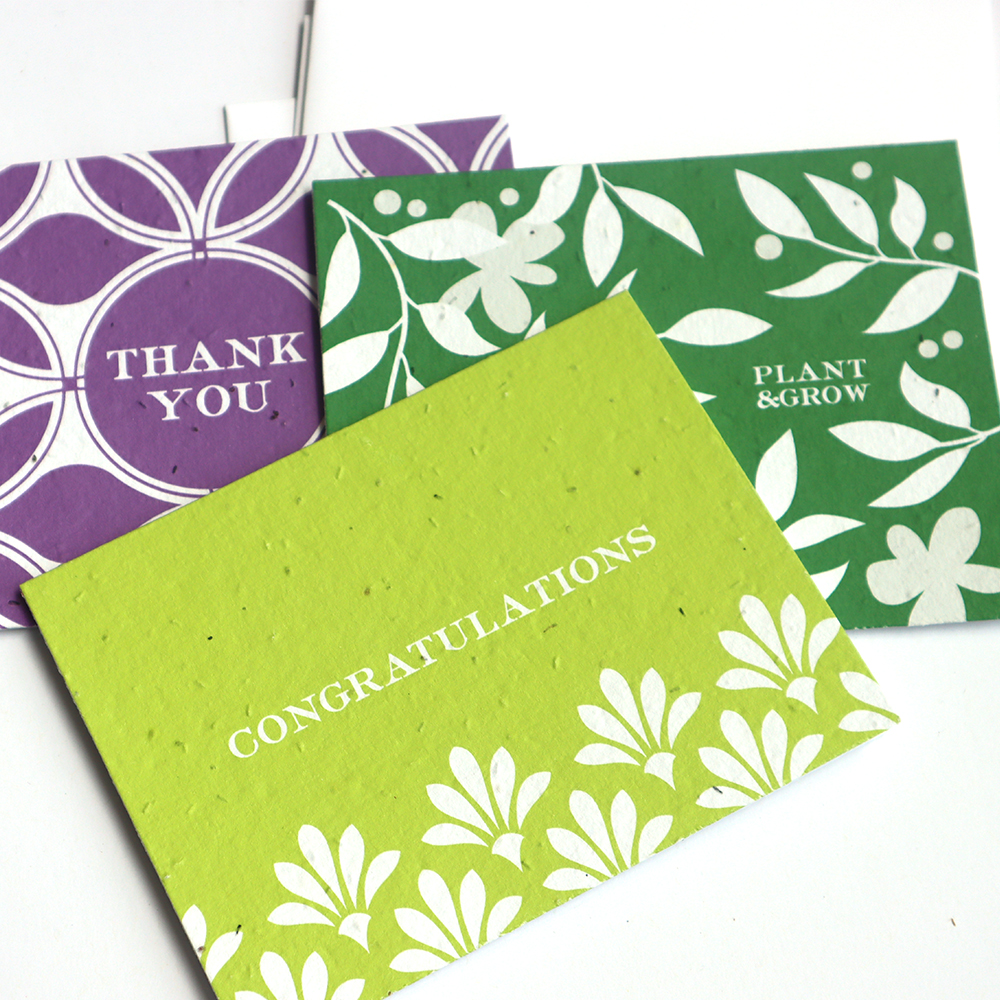 Flourishing Workspace Plantable Gift Kits 2