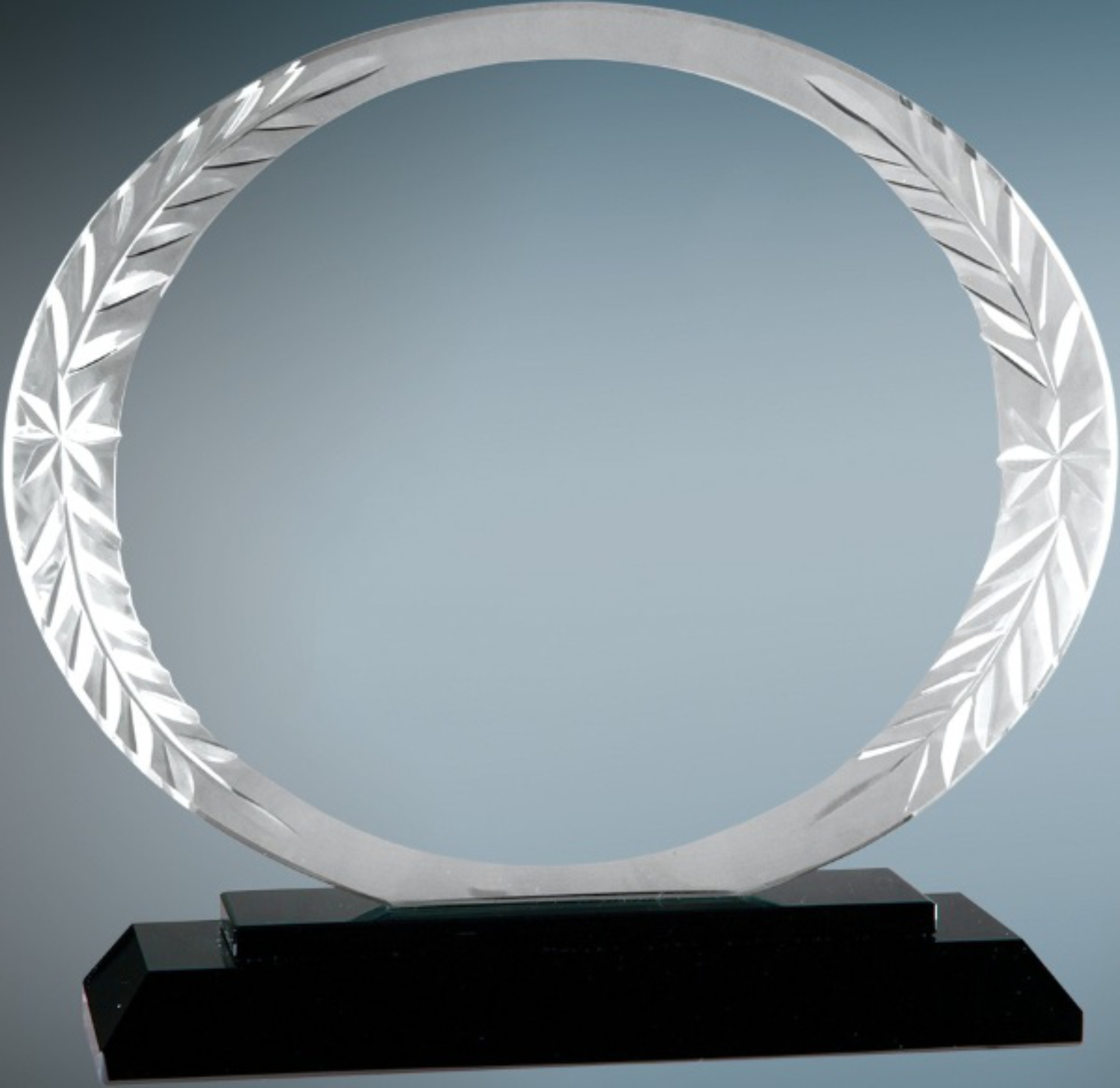 5 3/4" Medium Oval Accent Glass Award 3