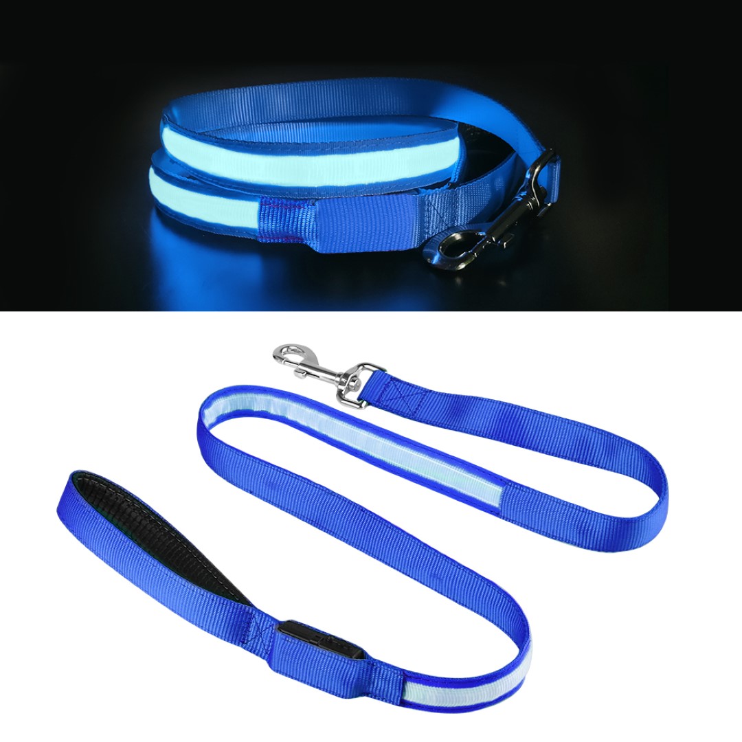 Dog Leash 3