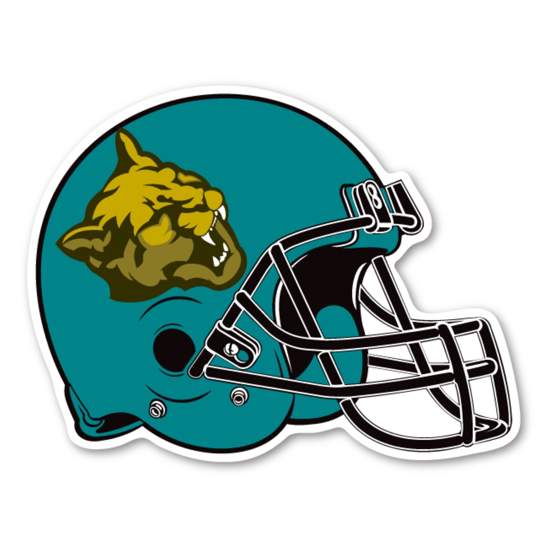 Football Helmet Magnet - 4.75" x 3.625" - 20 mil
