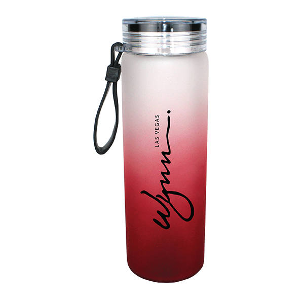 Halcyon® 20 oz. Frosted Glass Bottle with Screw on Lid 1