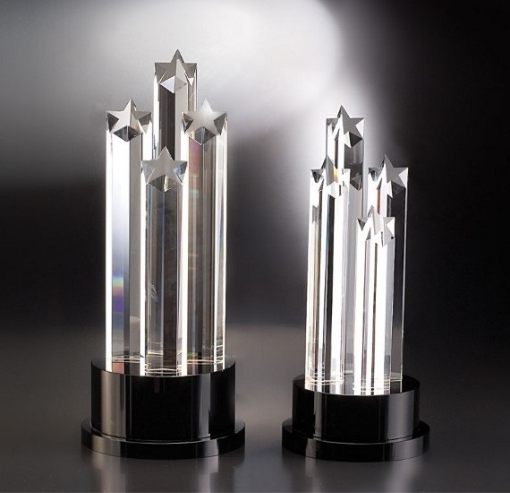 Contemporary Vistas Crystal Elevate Award 2
