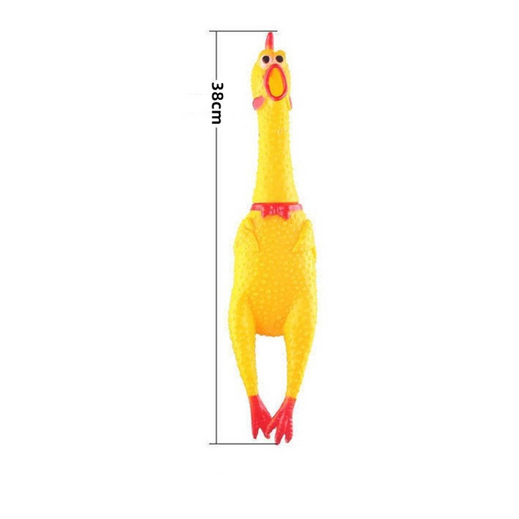 SqueezeyRubber chicken toy 5