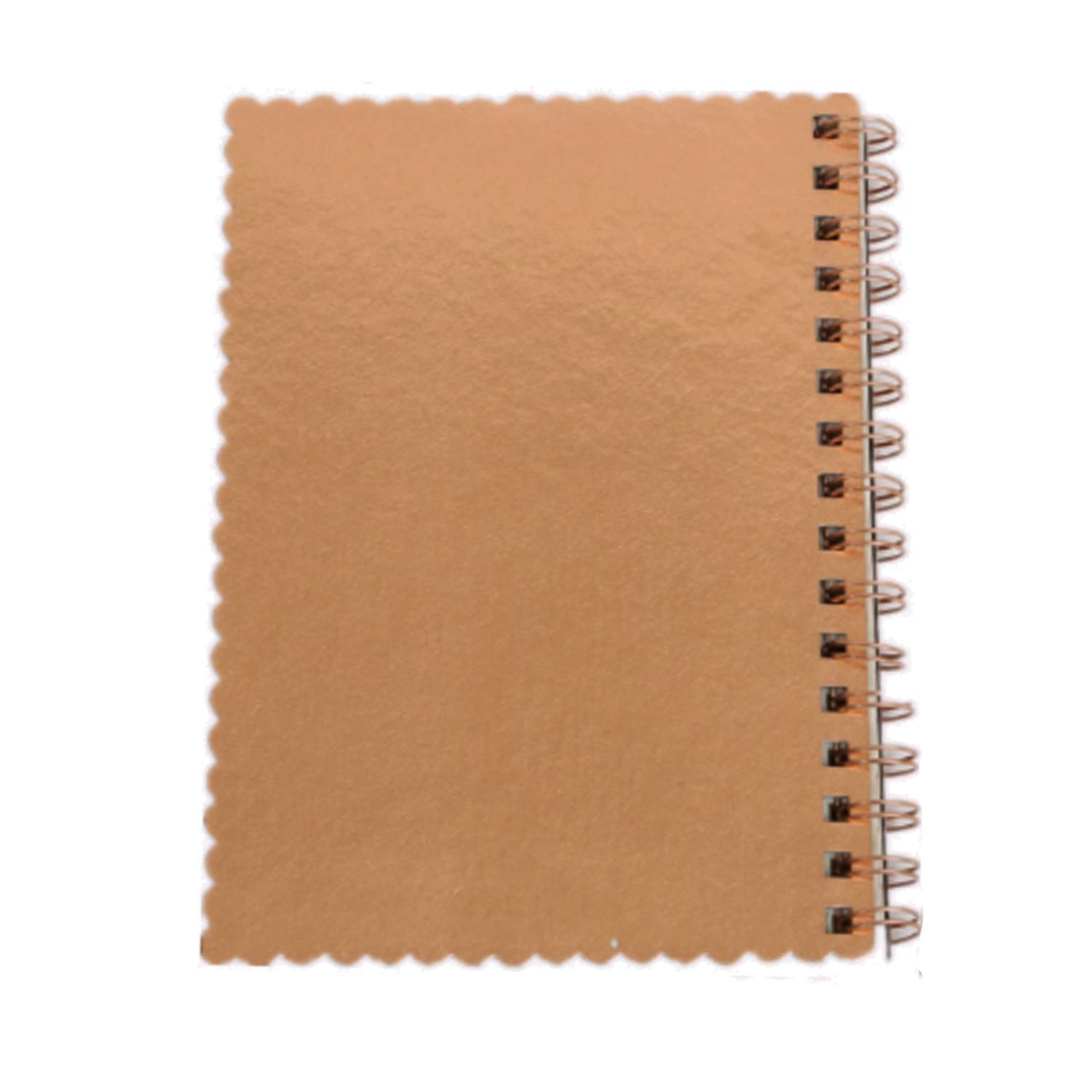Metallic Notebook 7