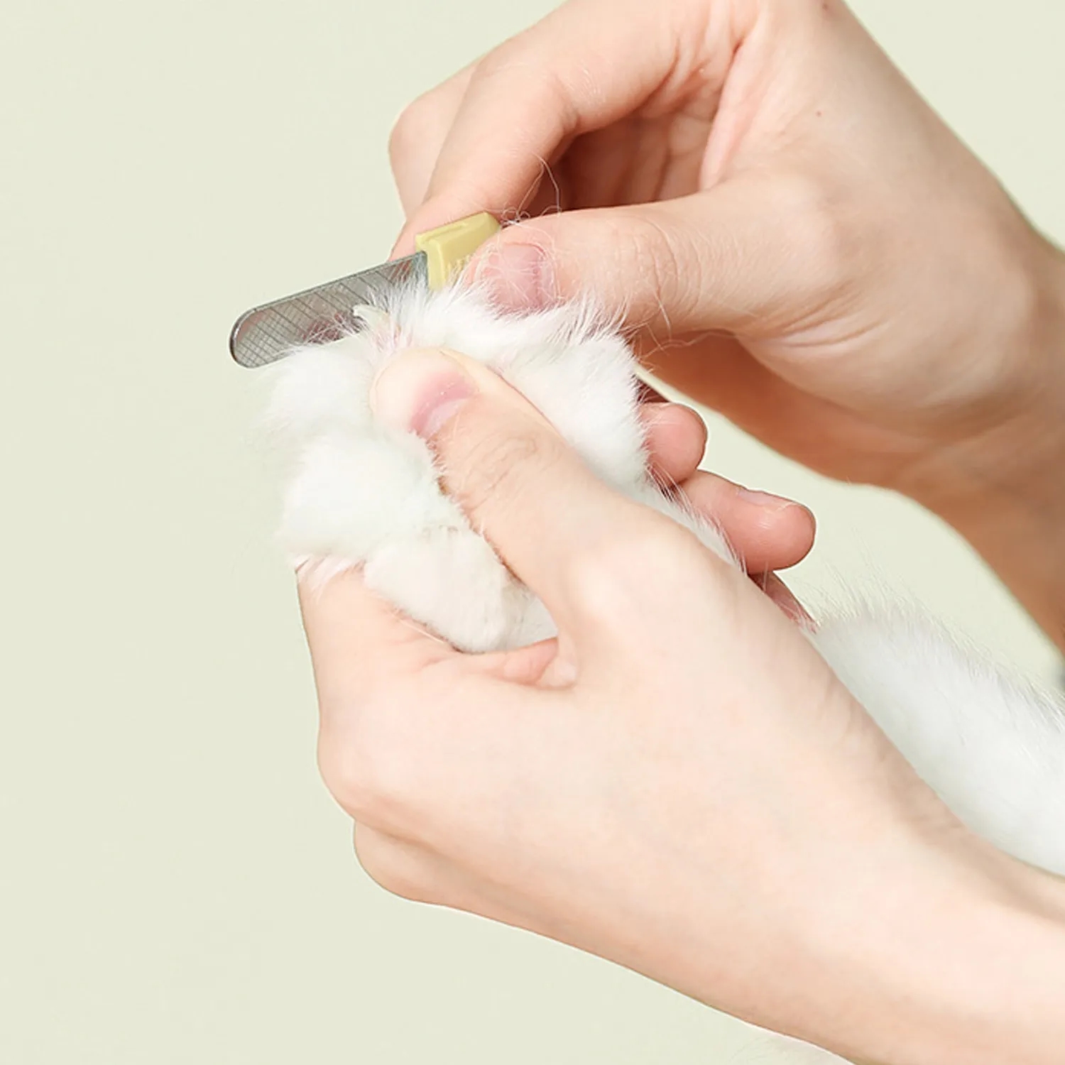 Banana Pet Nail Clippers Led Blood Line 3