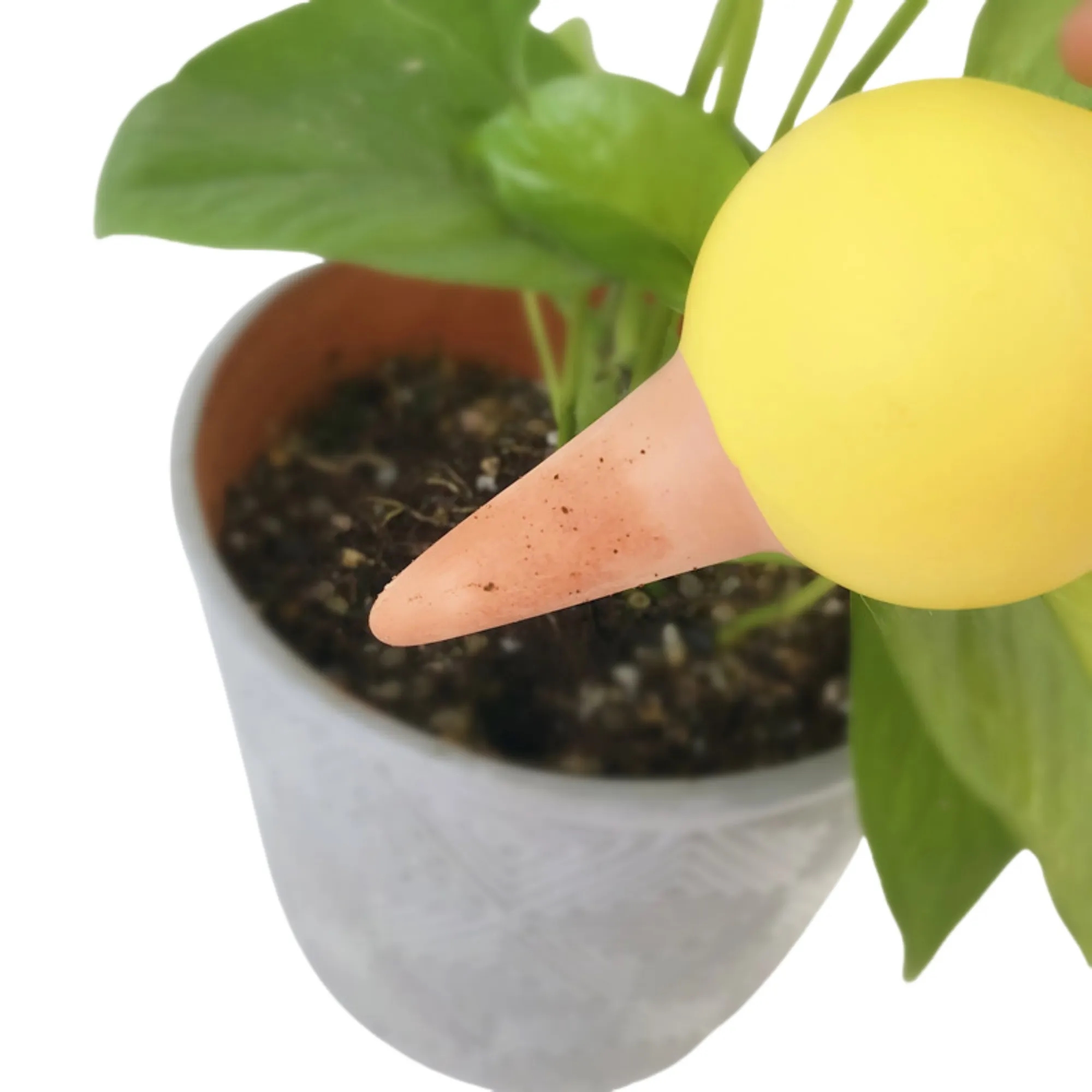 Premium Terracotta Plant Watering Globes 15
