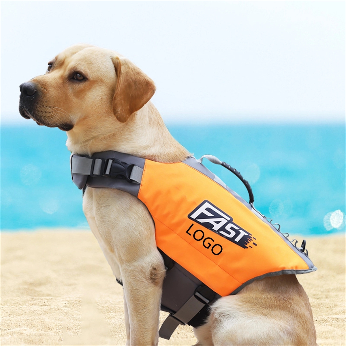 Life Jacket For Dogs 4