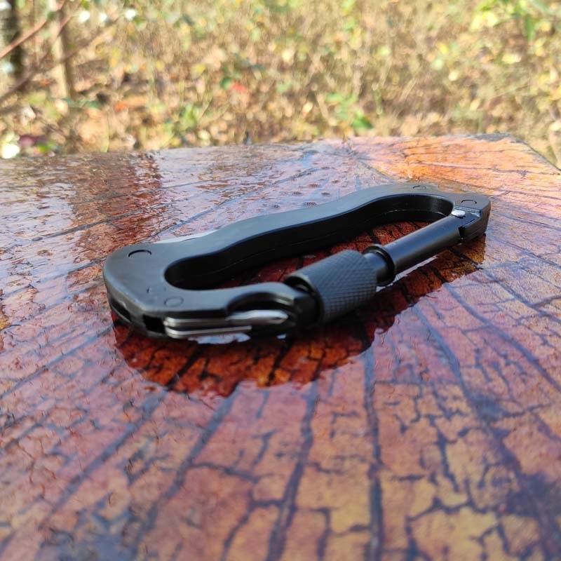 Multifunction Carabiner 10
