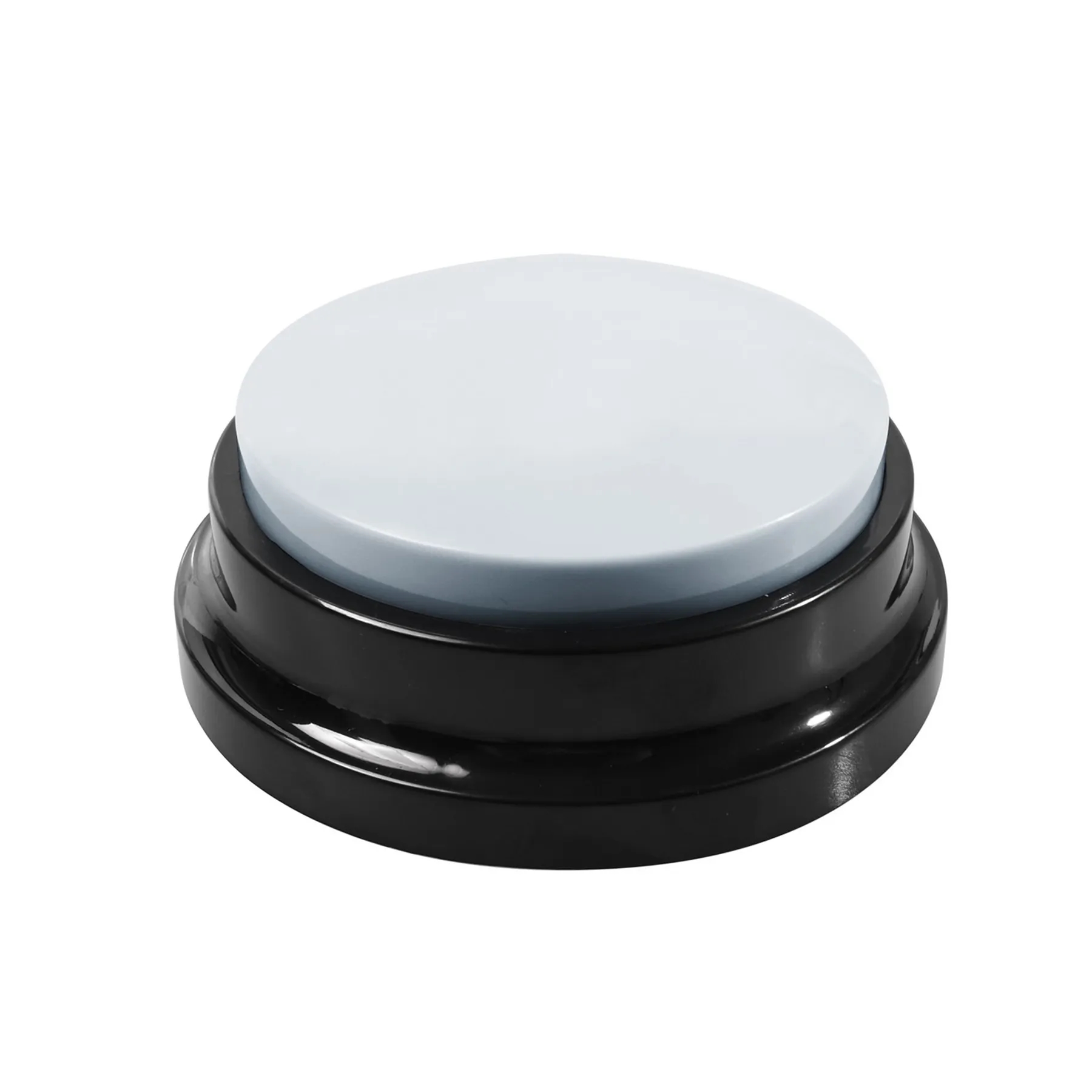 Pet Voice Recording Button 2