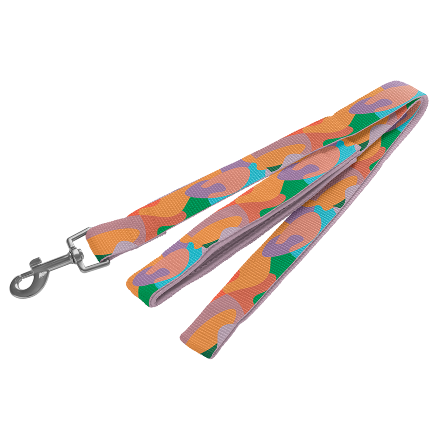RPET Loop Handle Pet Leash with Snap Carabiner 3