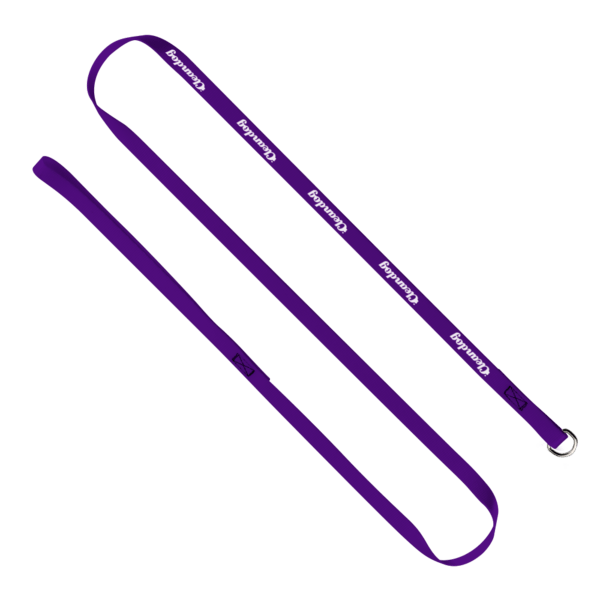 1/2" x 60" Smooth Nylon Pet Slip Leash 20