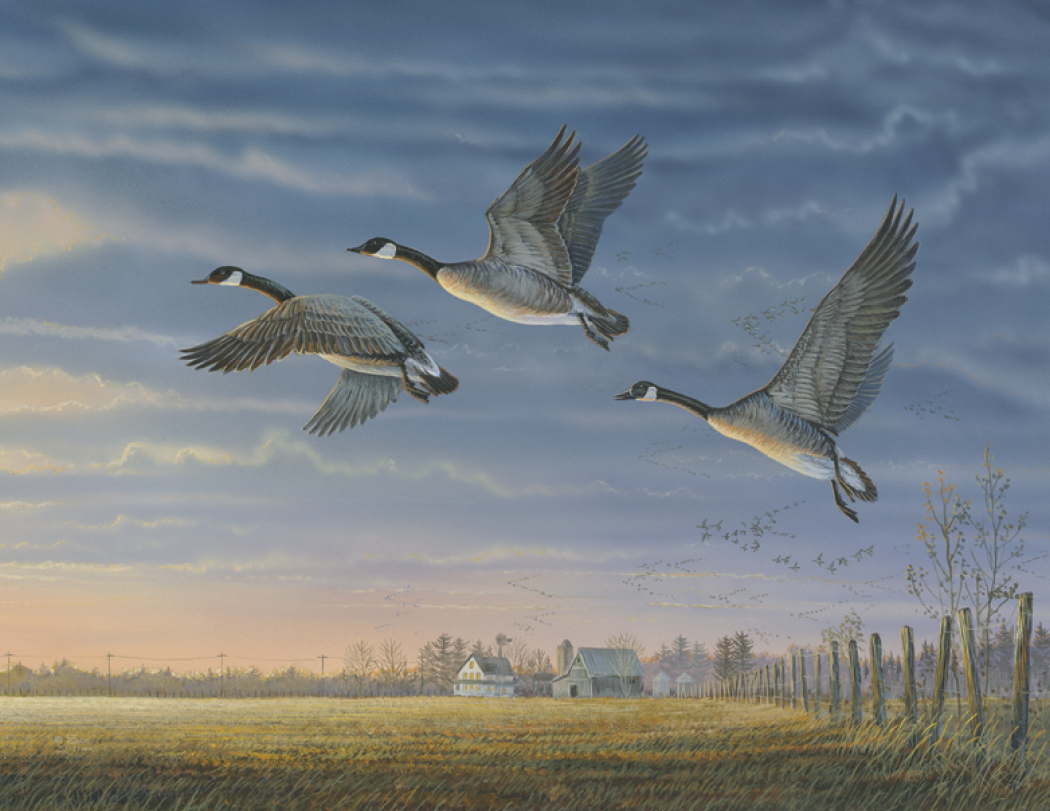 HotLine® Products Wildlife Collection Appointment Calendar - Stapled 43