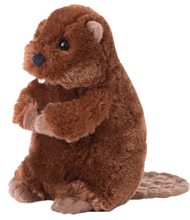 Buddy Beaver Stuffed Animal 2
