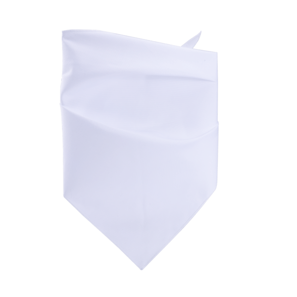 Dye-Sublimated Pet Bandana 1