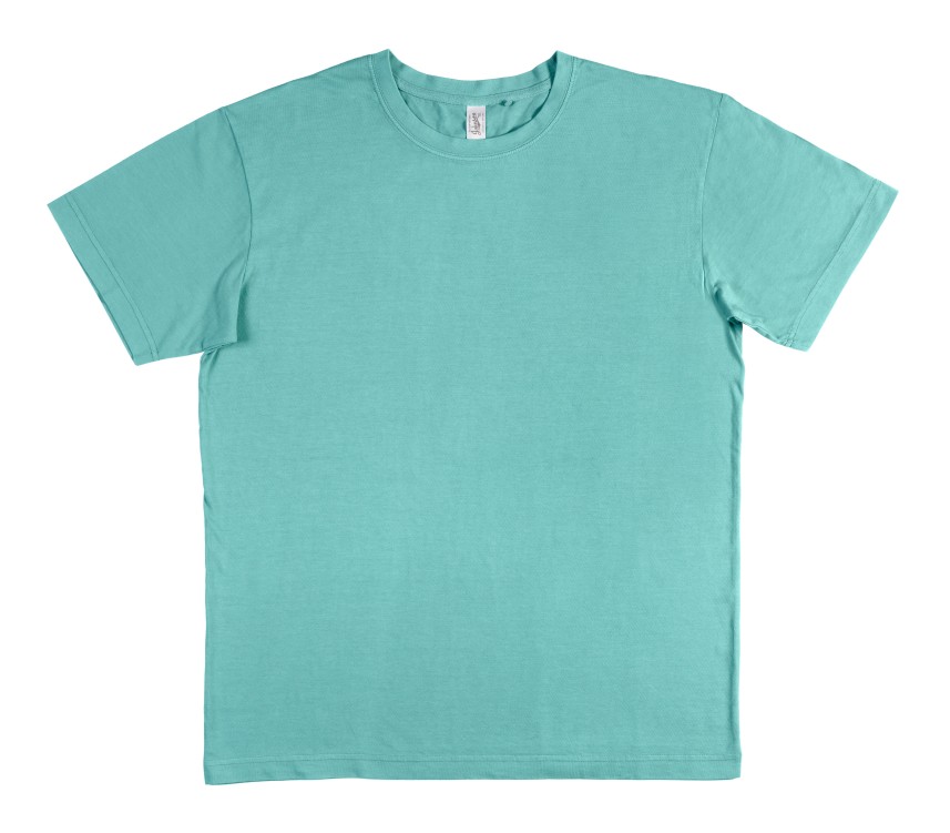 Bushwood Garment Dyed Tee 1