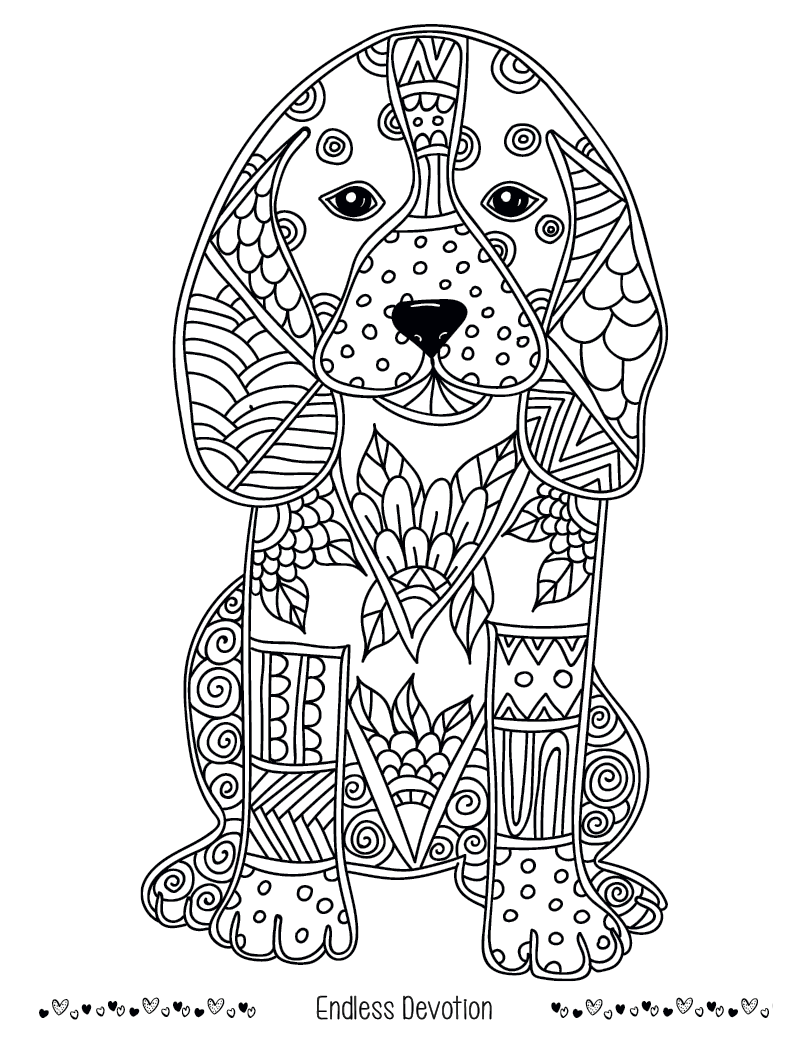 Good Value™ Unwind with Pets Adult Coloring Book 3