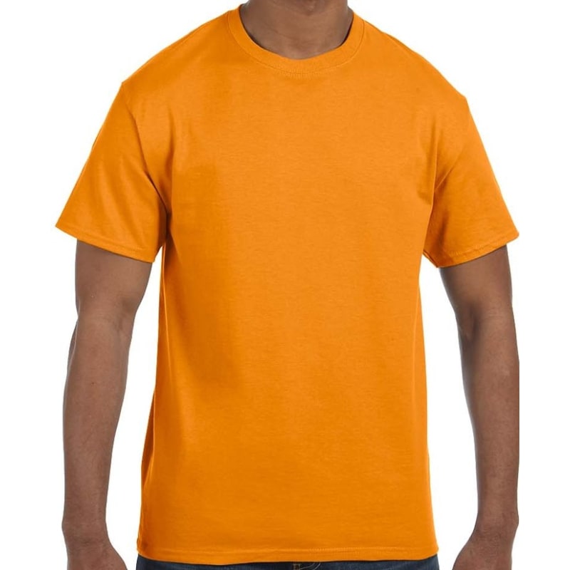 Hanes Men's Authentic-T T-Shirt 20