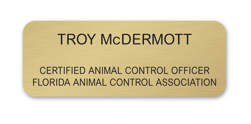 Custom Size Oxidized Brass Executive Name Badge (6-10 Square Inches)