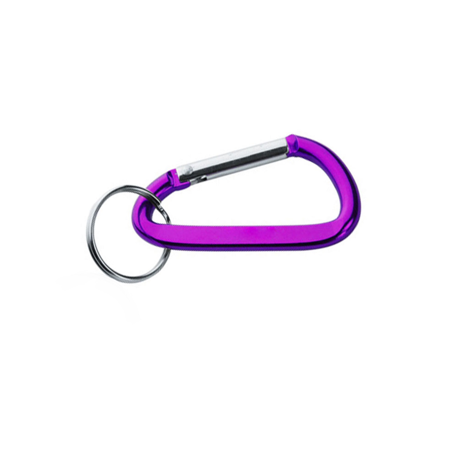 Metal Latch Carabiner Keychain 3