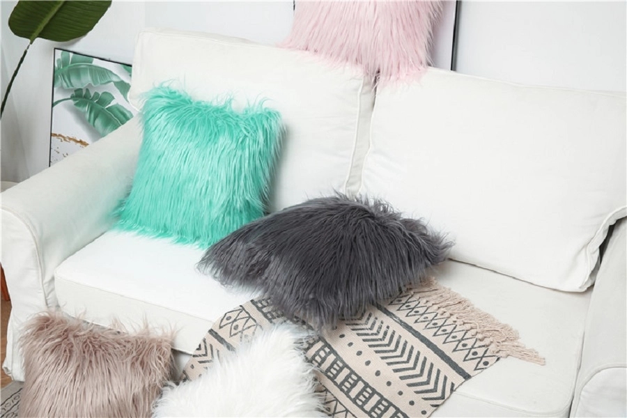 Deluxe Decorative Plush Pillow Case 3